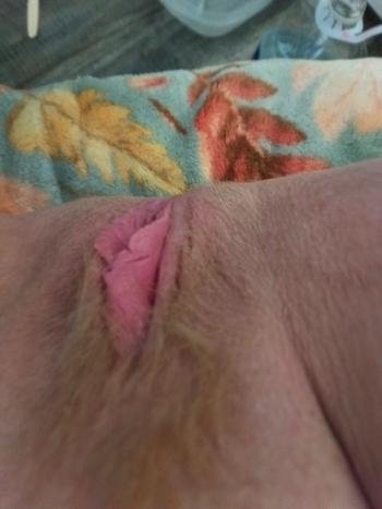 Layla, 34  female escort, Sarasota