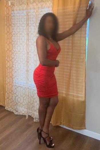 8133709557, female escort, Sarasota