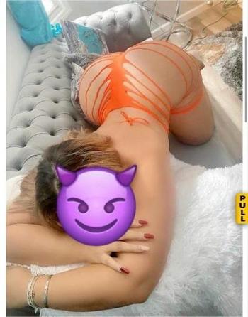 9296086634, female escort, Sarasota