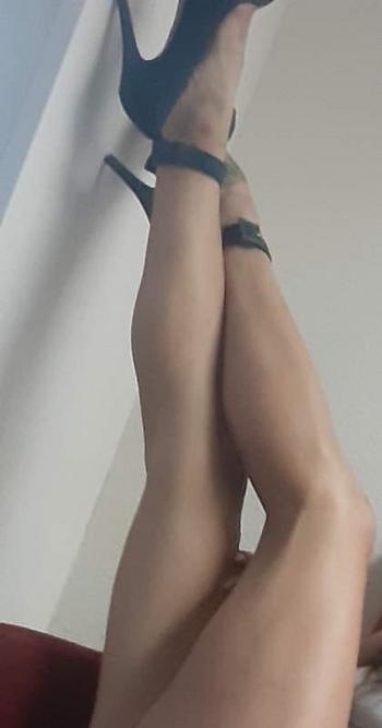 9416764140, female escort, Sarasota