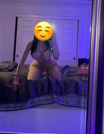 8134136039, female escort, Sarasota